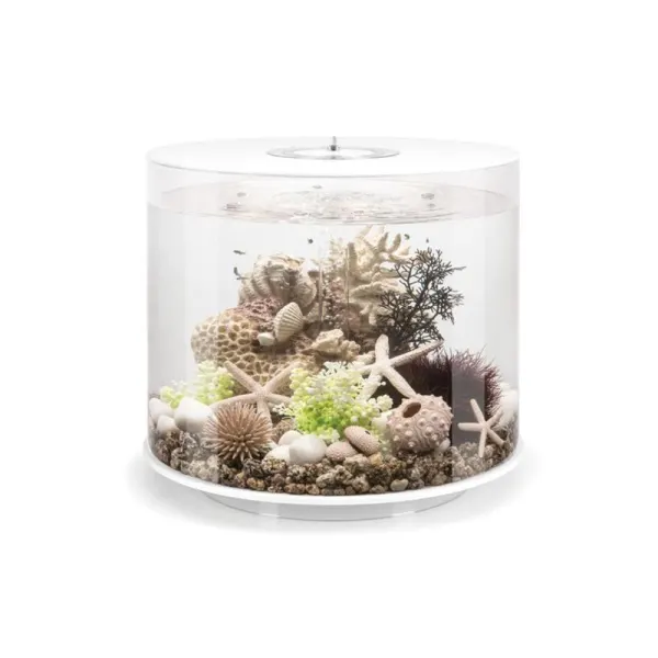 Acvariu Oase 35l (41x36.9cm) biOrb TUBE 35 LED Alb