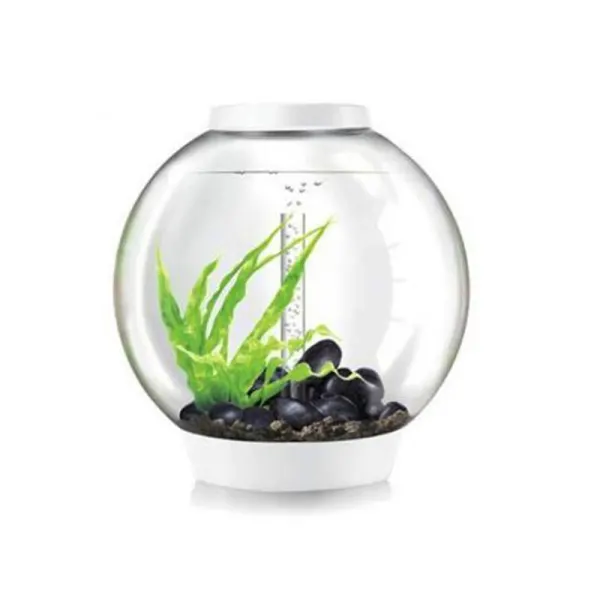 Acvariu Oase 60l (50x52cm) biOrb CLASSIC 60 LED Alb
