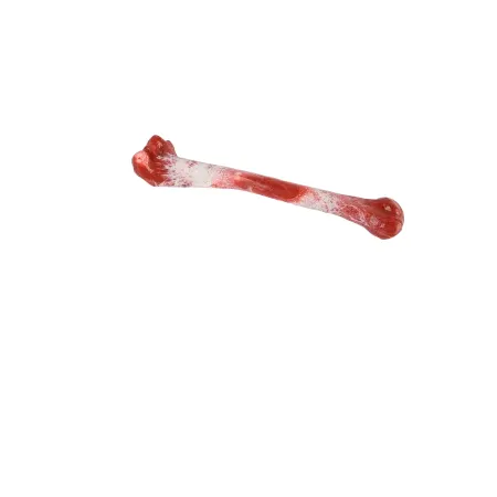 All for paws Jucarie Bone Appetite Shinbone pentru Caini