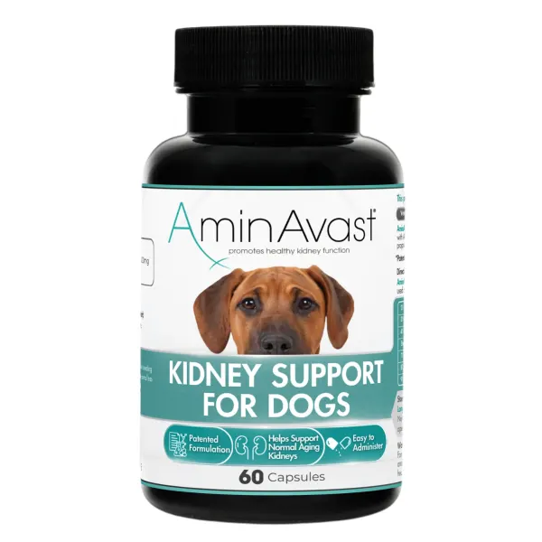 Aminavast Dog, 1000 mg/ 60 capsule