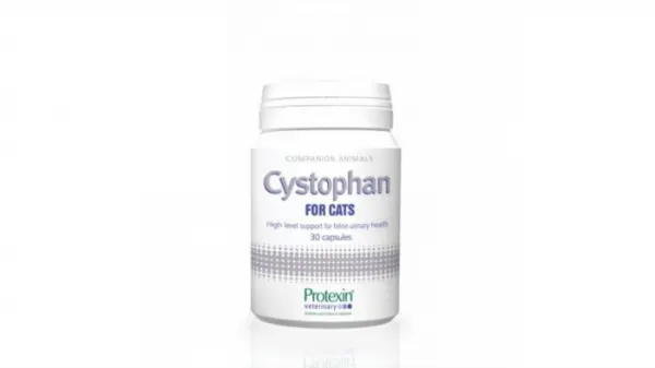 CYSTOPHAN pentru cats pisici - 240 capsule