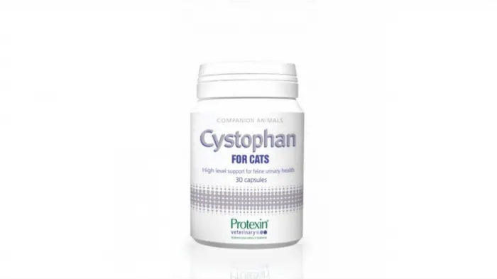 CYSTOPHAN pentru cats pisici - 240 capsule
