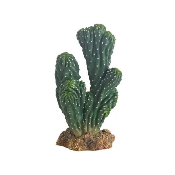 Decor Hobby Cactus Victoria 1