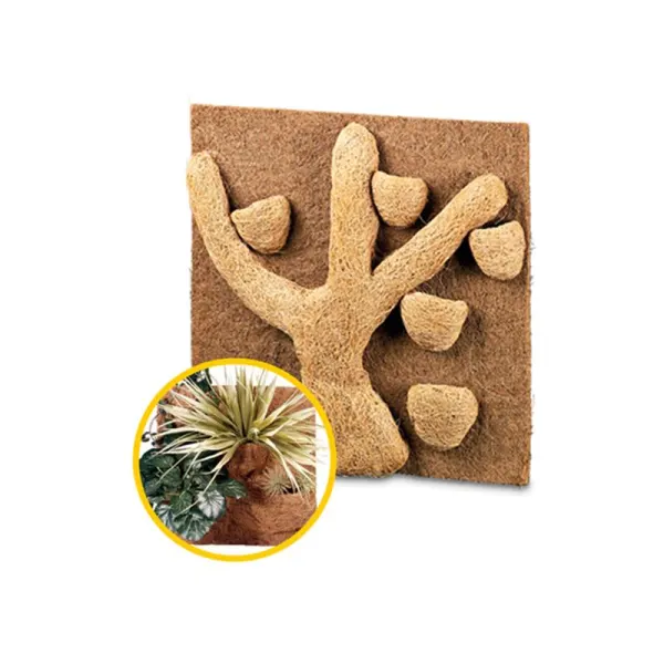 Decor natural Hobby Coconut Module