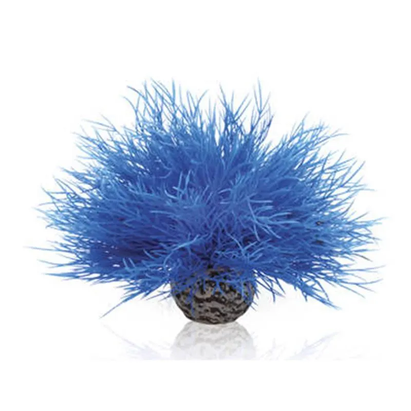 Decor Oase biOrb Aquatic sea lily albastru