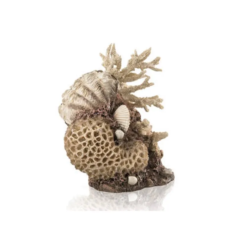 Decor Oase biOrb coral-shells ornament natural