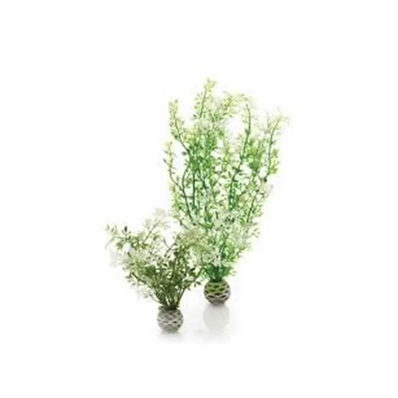 Decor planta Oase biOrb Aquatic winter flower set 2 bucati
