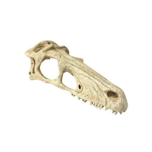 Decor terariu craniu de dinozaur Komodo Raptor Skull L
