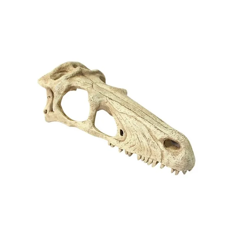 Decor terariu craniu de dinozaur Komodo Raptor Skull L
