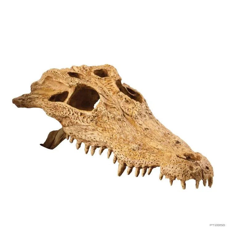 Decor terariu ExoTerra Crocodile Skull