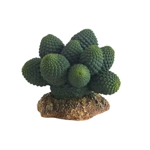 Decor terariu Hobby Cactus Atacama 7cm
