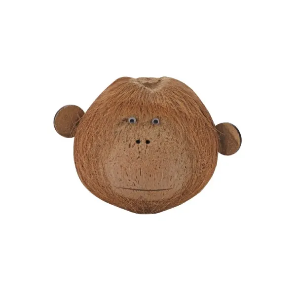 Decor terariu Hobby Coco Monkey 2