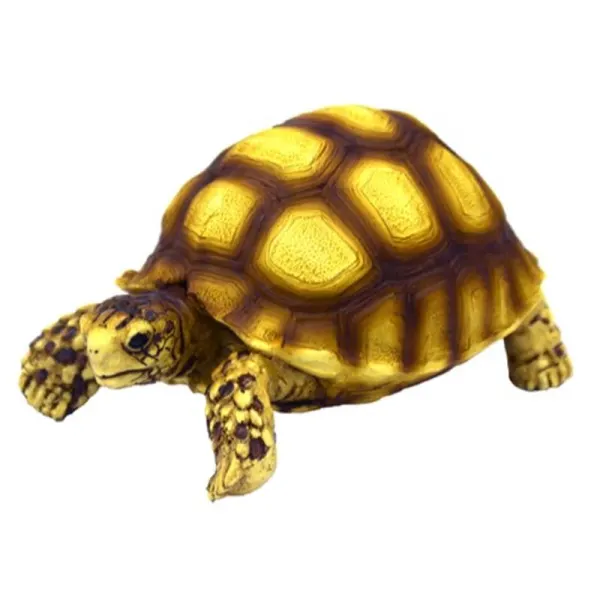 Decor testoasa Hobby Turtle 2