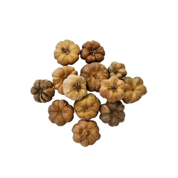 Dovleac uscat Curcurbita Hobby 25buc