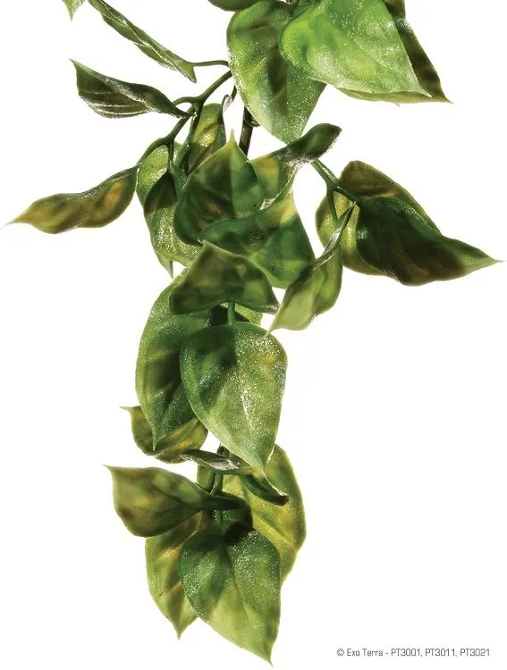 Exo Terra Planta Ampallo Medium 40 CM PT3011