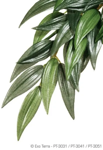 Exo Terra Planta Ruscus Medium 55 CM PT3041