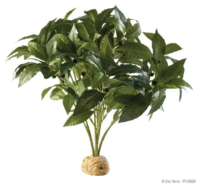 Exo Terra Plante Laurel Bush