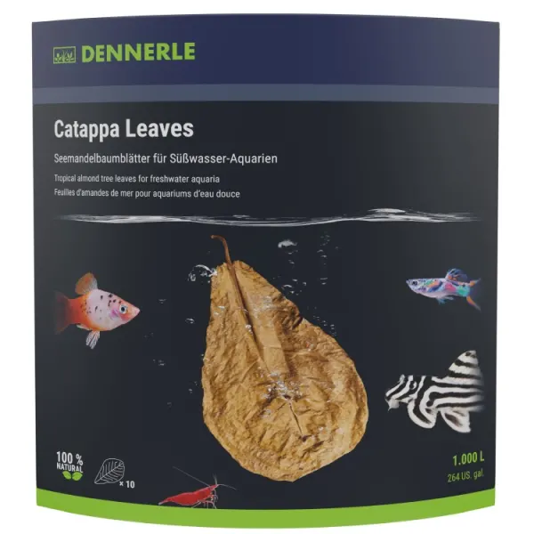 Frunze Catappa Dennerle 18x10cm 10buc pt 800L