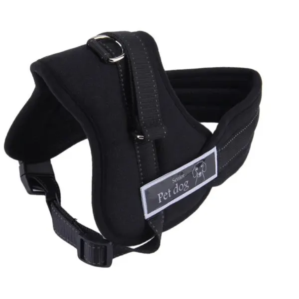 Ham pentru caini SENIOR DOG XXL (90 - 120 cm)