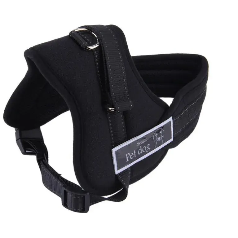 Ham pentru caini SENIOR DOG XXL (90 - 120 cm)