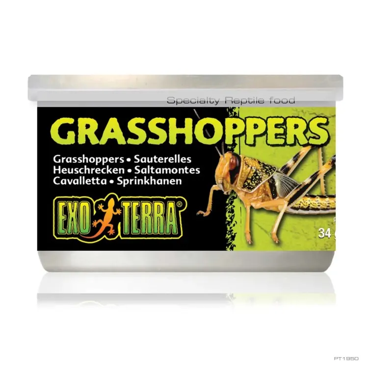 Hrana reptile ExoTerra Grasshoppers conserva 34gr