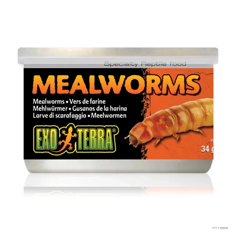 Hrana reptile ExoTerra Mealworms conserva 34gr