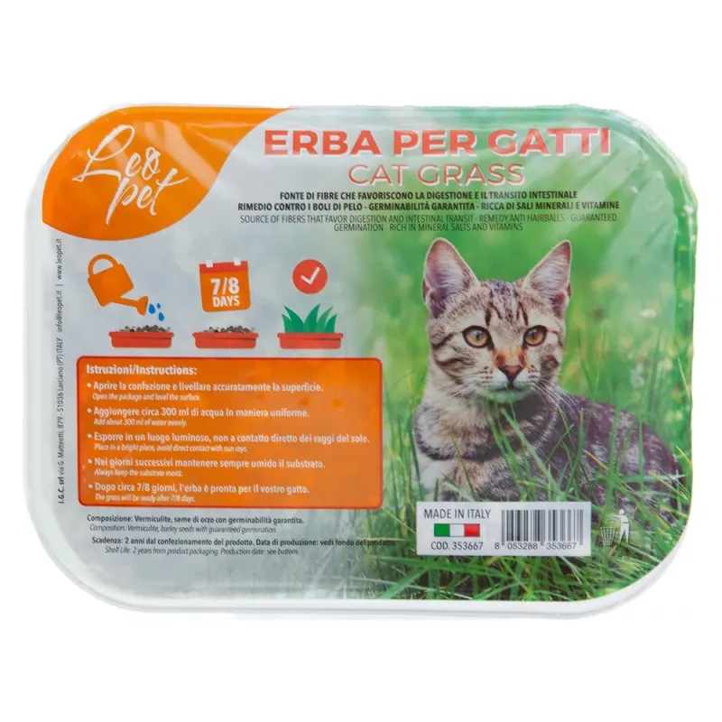 Iarba pisicii 100 g