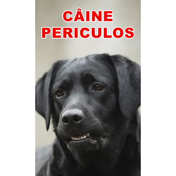 Indicator caine periculos Retriever Negru