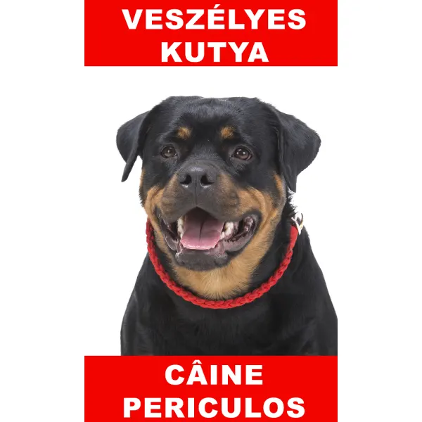 Indicator caine periculos Rottweiler Bilingvă