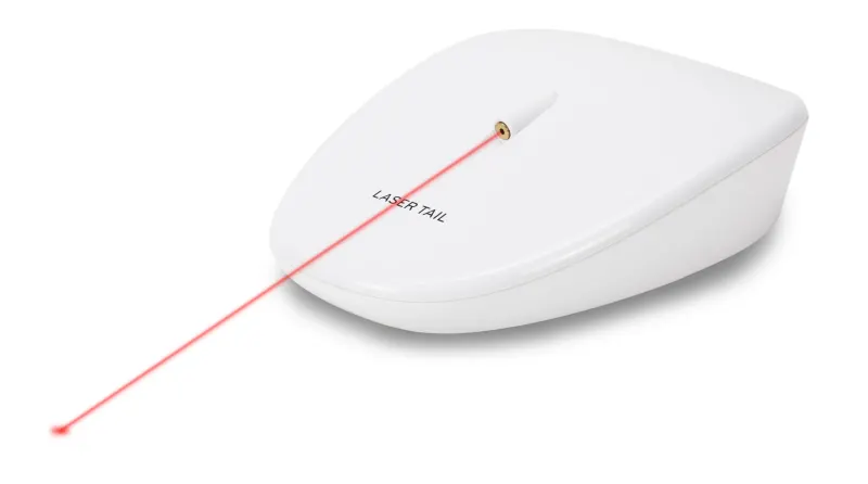 Jucarie pisici PetSafe Laser Tail Light