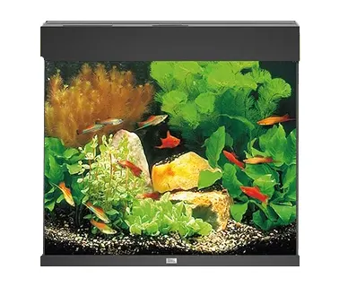Juwel Acvariu Led Lido 120 Negru