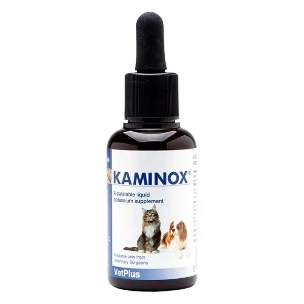 Kaminox, 60 ml