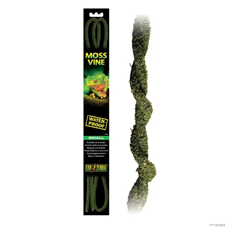 Liane artificiale ExoTerra Moss Vines Small 1x1x182cm