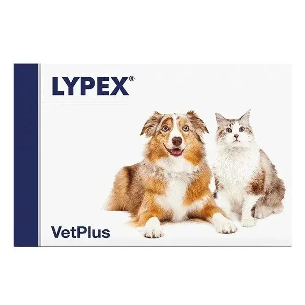 Lypex, 60 capsule