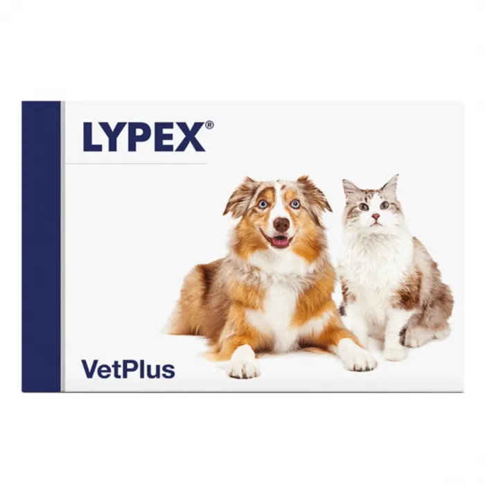 Lypex 60 capsule