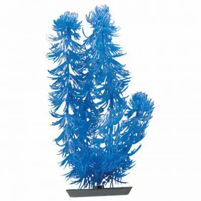 Marina Planta Color Hornwort 30 cm PP1242