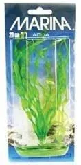 Marina Plante Corkscrew Vallisneria 20 cm PP806
