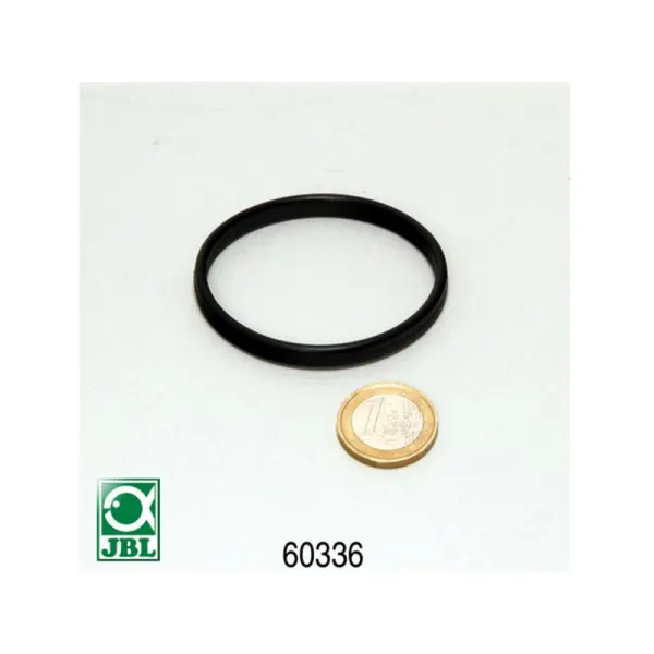 O-ring Cilindru JBL AquaCristal