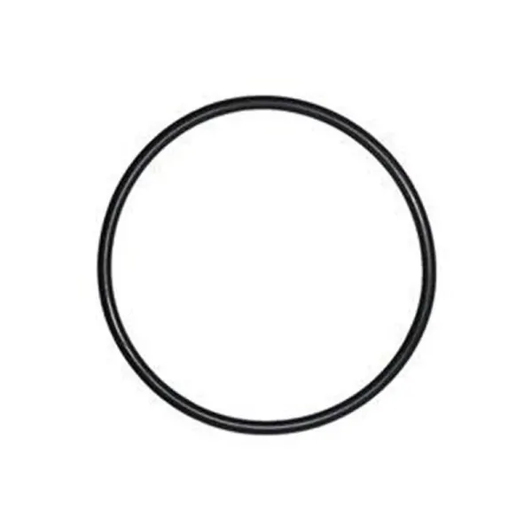 O-Ring filtru Dennerle Scaper's Flow