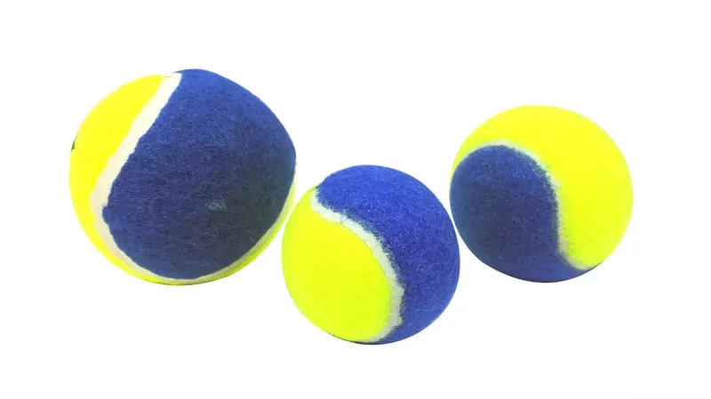 Paiatze Dog Minge Bicolor - l