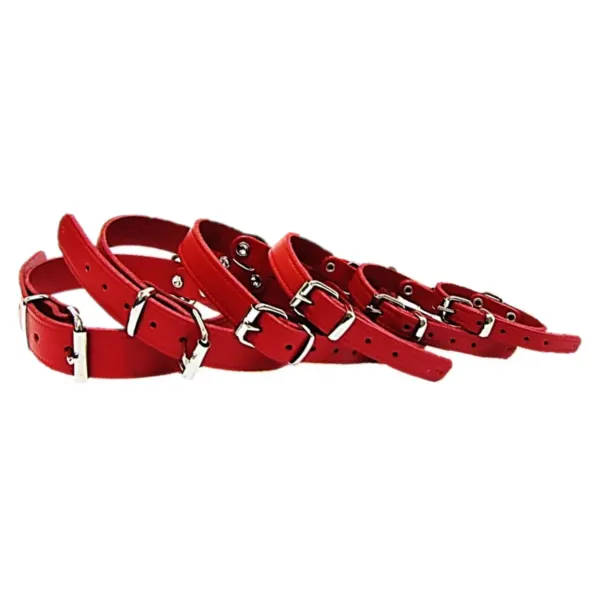 Pet Expert Zgarda Clasic Rosu - nr-5
