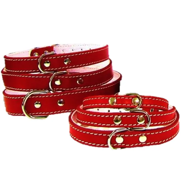 Pet Expert Zgarda Pasla cm Rosu - nr-2