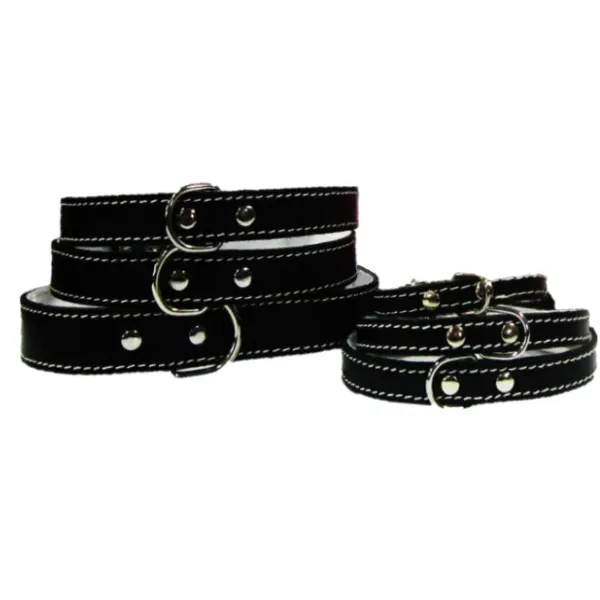 Pet Expert Zgarda Pasla Negru - nr-0