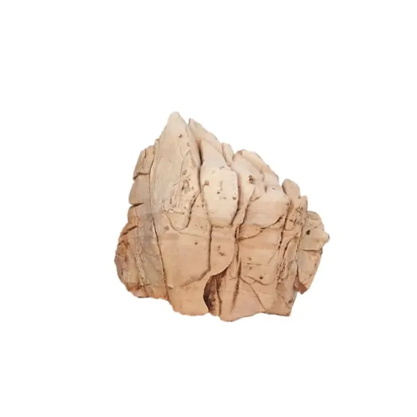 Piatra Hobby Crusted Rock S