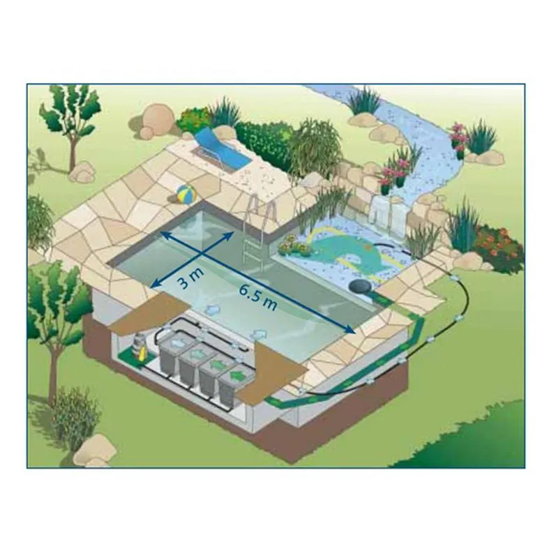 Piscina Swimpond