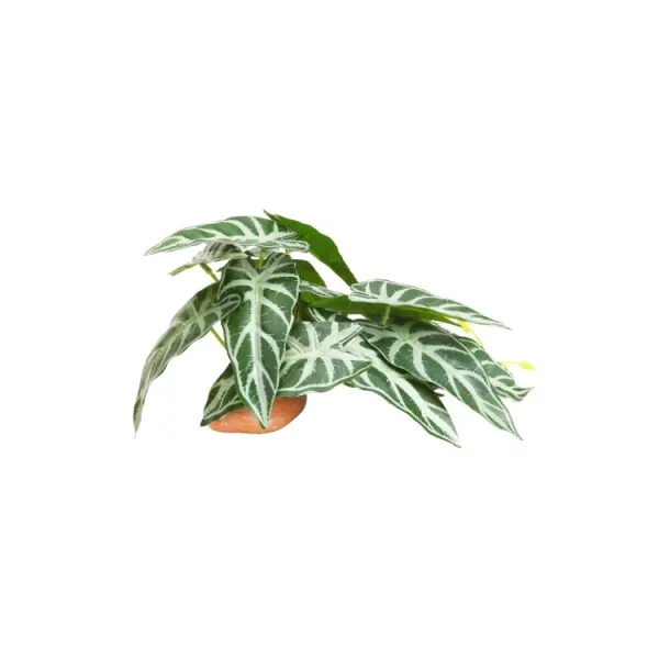 Planta artificiala Hobby Calathea 1