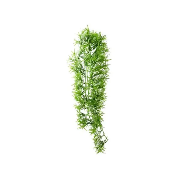 Planta artificiala Hobby Climber Tropica