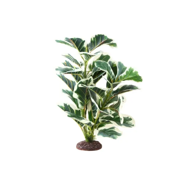 Planta artificiala Hobby Ficus Elastica 2