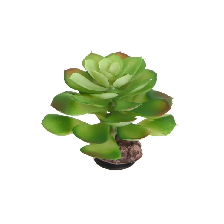 Planta artificiala Hobby Terra Succulent 4