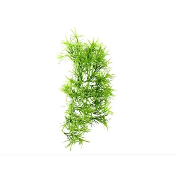 Planta cataratoare terariu Hobby Climber Tropica 37cm